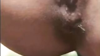 Outdoor pooping on the road