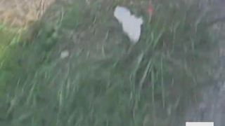 Compilation of girls caught pooping in public