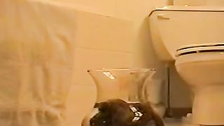 Shitting into water bowl