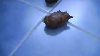 Mega turd from a beautiful asshole