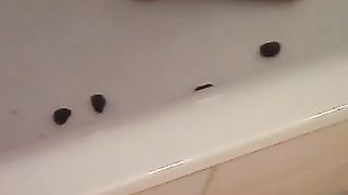 Drunk teen smearing poop on her tits