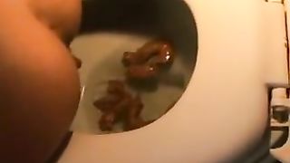 Four tiny pieces of poop in the toilet