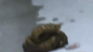 Shitting behind a building in public