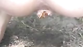 Teen girl shitting in the middle of the road