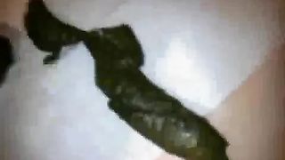 Hot latina shitting in doggy style