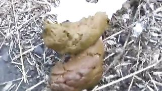 Asian girl caught shitting in public