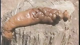 Wiping her asshole outdoor