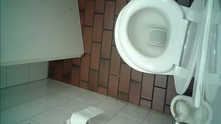 Hot babe wiping her ass in public bathroom