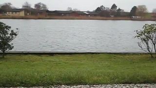 Sexy babe shitting in public