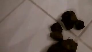 Beautiful brunette college girl shitting