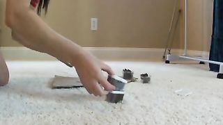 Hot nerd prepared scat lunch boxes