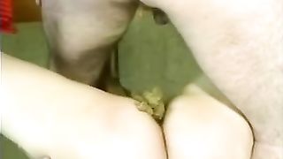 Small shit on her shaved pussy