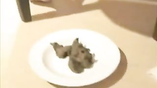 Busty blonde babe undressed slowly