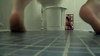 Big turd in a plastic lunch box