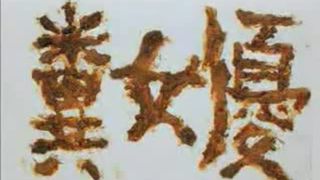 Toilet Japanese game show