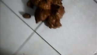 Young Asian dropped mega scat