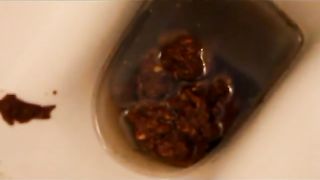 Mix of sexy girls shitting