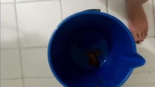 Young teen eating poop on live webcam