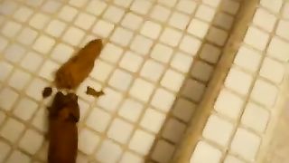 Sexy student dropped a brown turd on the bathroom floor
