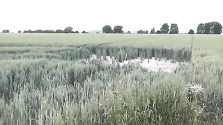 Skinny blonde shitting in the middle of a field