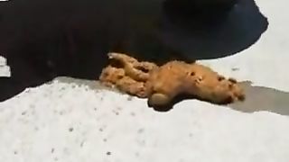 Sexy girl pooping in the streets