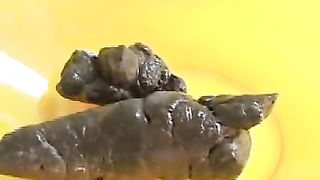 Collection of girls pooping on homemade toilets