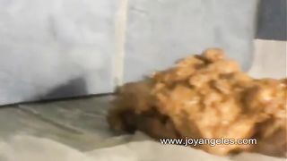 Two best friends pooping together