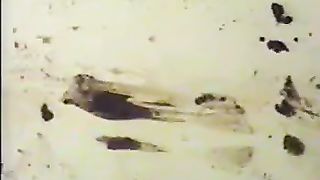 Vintage panty pooping video