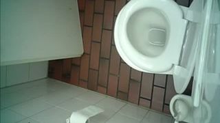 Fat brunette is sweaty after shitting in the toilet