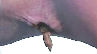 Sexy blonde shitting on top of a big rock