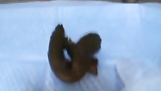 Compilation of the same Japanese girl that's pooping