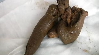 Beautiful babe offered free scat lessons