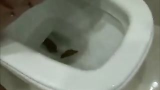 Wiping her friends dirty asshole