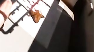Hot Japanese teen shitting on a balcony