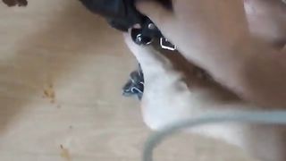 Female slave forced to lick poop from the floor