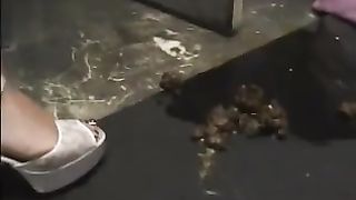 Panty poop accident with sexy teacher