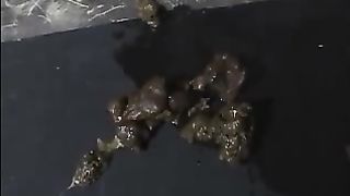 Panty poop accident with sexy teacher