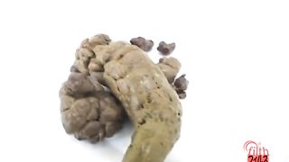 Innocent Japanese girl examined her fresh shit