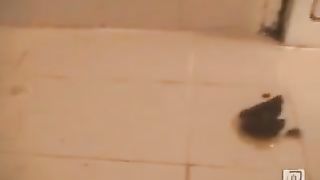 Two best friends pooping together on bathroom floor