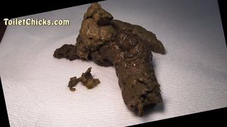ToiletChick.com Promo Video Big Turds