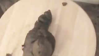 Big heavy turd from sexy brunette