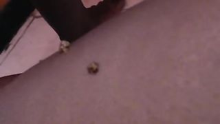 Hot black lesbian girls pooping