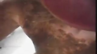 Hot lesbian girls sharing loads