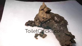 ToiletChicks.com Big Sexy Poop