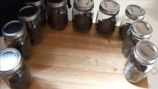 Twenty loads of poop from chubby girl