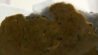 Shaved teen shitting on home made toilet