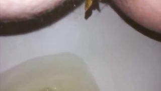 wife shitting on the toilet