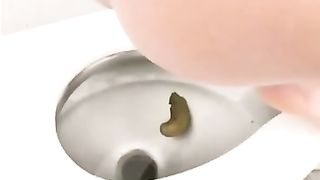 girls pooping on the toilet