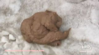 nature scat girls pooping