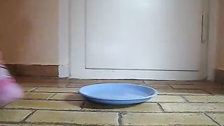 some scat girl pooping on a blue plate